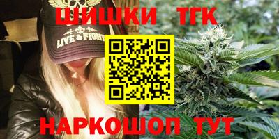 МДПВ Камышлов