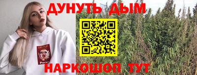 МДПВ Камышлов