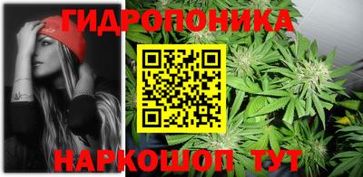 сатива Канаш