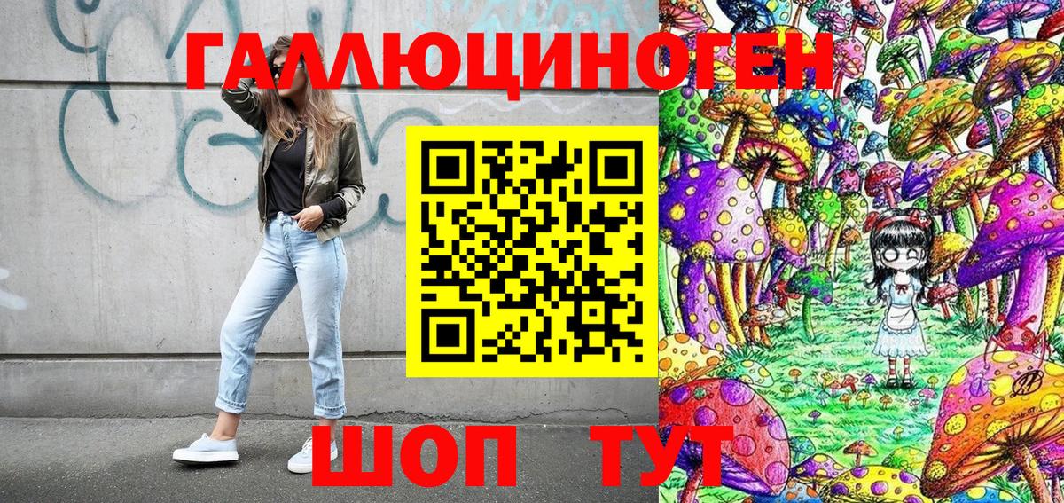 Псилоцибиновые грибы Cubensis Кыштым