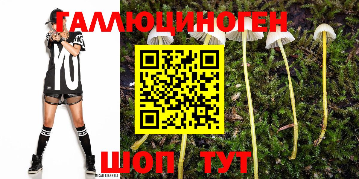 Псилоцибиновые грибы мицелий  Галлюциногенные грибы Psilocybe  Вход с VPN  Кыштым 